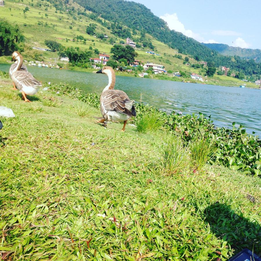 Sweet Dreams Hotel Pokhara Exterior photo